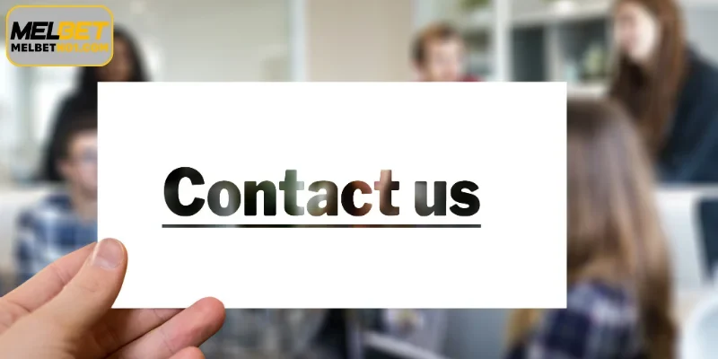 Diverse Channels to Reach Our Expert Team via Contact Us