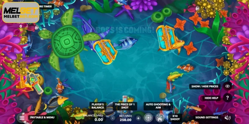 Guide to joining Melbet Fishing online